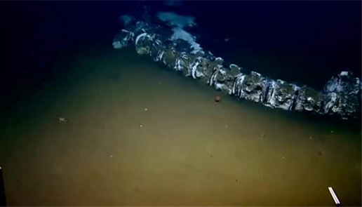 海底惊现12米巨型真龙是真的吗：这究竟是个什么梗？