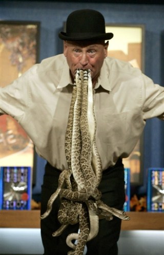 【得克萨斯响尾蛇】得克萨斯响尾蛇是北美洲最令人恐惧的响尾蛇之一，成年后的平均长度为1.5-2.5米。他们攻击型极强，制造了大量的死亡记录。