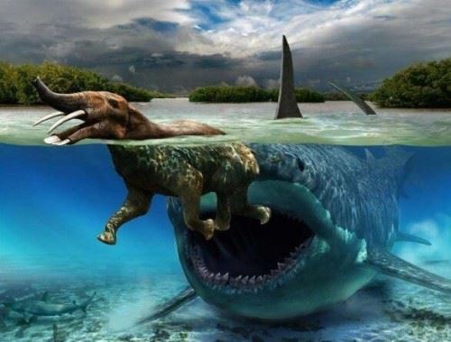 史前巨齿鲨生死谜 体长30米以鲸鱼为食或未灭绝