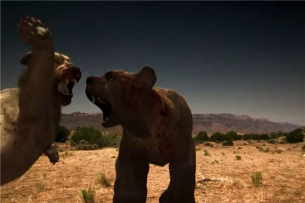 巨型短面熊的对手是谁？ 巨型短面熊和美洲拟狮谁？厉害