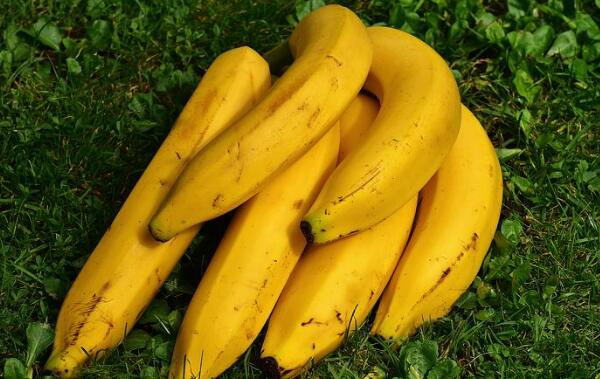 香蕉属于凉性还是热性 凉性吃多了腹痛、腹泻