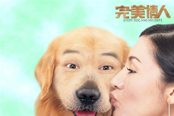 中国关于狗的电影:十大排行榜 这些和狗相关的电影:都看过吗