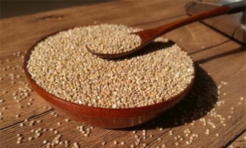 糙米和藜麦的区别 糙米和藜麦可以当作主食吗