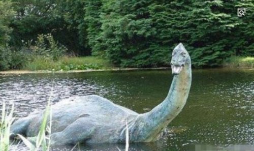 刚果恐龙魔克拉姆边贝 世界上仅存的一只史前“恐龙”