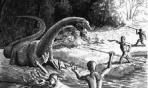 刚果恐龙魔克拉姆边贝 世界上仅存的一只史前“恐龙”
