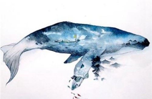 鲲鹏为什么？吃龙 现实中竟然真的看到了鲲鹏渤海海鲸