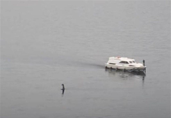 尼斯湖水怪重出江湖？游客拍下最新影片