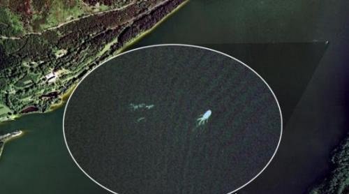 尼斯湖水怪真存在吗？传说是未灭绝的蛇颈龙(附相关照片)
