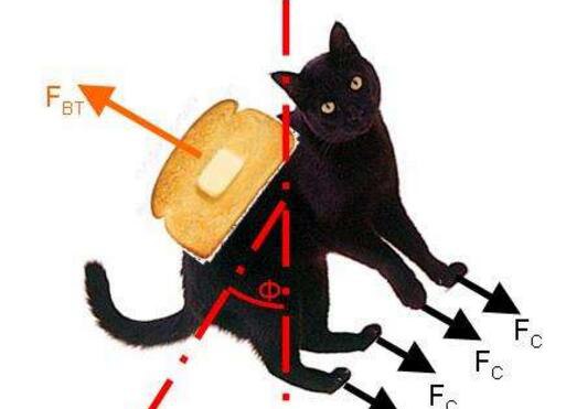 悖论学说之黄油猫悖论 永远都是猫脚先落地(实验过程)