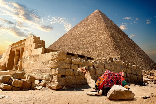 金字塔里面有什么活木乃伊吗 金字塔里面有什么危险的东西吗