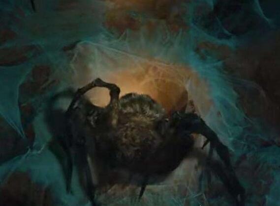 鬼吹灯中的人面蜘蛛现在竟真存在 在背部长有一张人脸图案