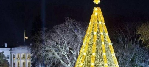 世界上最贵的圣诞树 专业设计师设计价值1.05亿元人民币