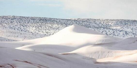 撒哈拉沙漠下雪了 世界上最热沙漠下了1米厚大雪
