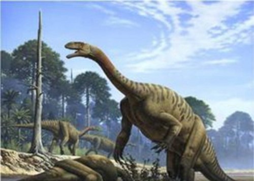 十大最强食草恐龙排名 食草恐龙三角龙可以吊打霸王龙