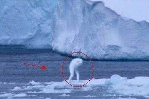 南极冰下发现巨物照片 南极冰下发现巨物直径56公里是真的吗