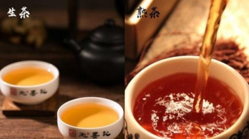 普洱生茶和熟茶的区别 夏喝生普清热减肥冬饮熟普促睡眠