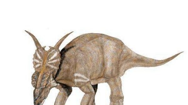 五大头上长角恐龙 第一食肉型巨兽你都见过吗