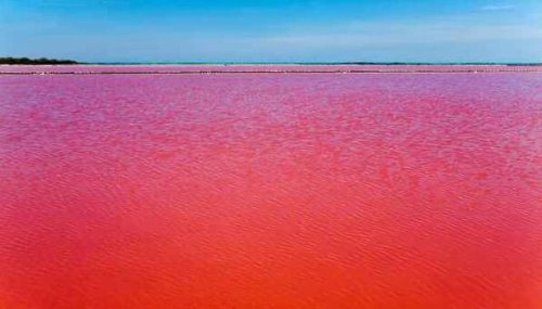 骇人听闻的伊拉克血湖 真正被鲜血染成的红色湖