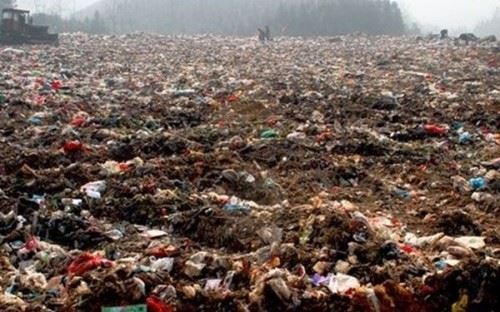 关于乱丢垃圾的危害 数百万动物死亡的罪魁祸首