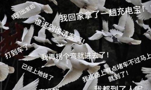 放鸽子是什么？意思？放鸽子是怎么来的源自上海白鸽票