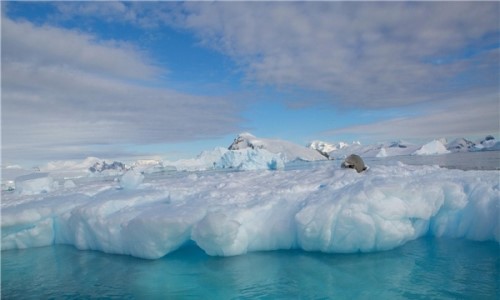 南极冰间湖之谜 极寒地为何水面却常年不结冰真相揭秘
