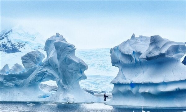 南极冰间湖之谜 极寒地为何水面却常年不结冰真相揭秘