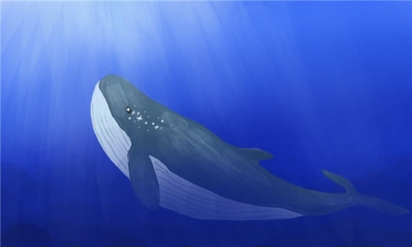 最孤独的鲸鱼和宇航员 为何两者可以相提并论