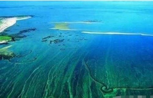 恐怖的马尾藻海 被称为大西洋海上坟场吞噬人命