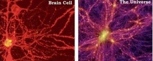 宇宙可能是巨人的细胞 多个细胞共同构成整个高维时空