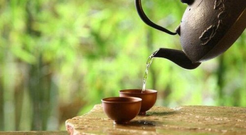 熟茶和生茶哪个更刮油 生茶刮油效果更好减肥效果更好