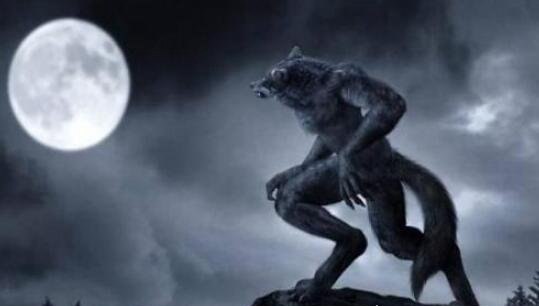 未知生物布雷路怪兽 目击者称其是身材高大的嗜血狼人