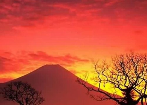 富士山下为什么？恐怖？每年自杀死亡人数成百上千
