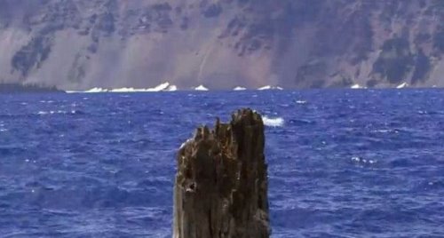 俄勒冈火山口湖垂直地漂浮120年的树桩 原因至今未解