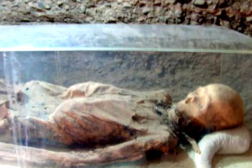 考古挖掘出来的尸骨最后怎么处理了
