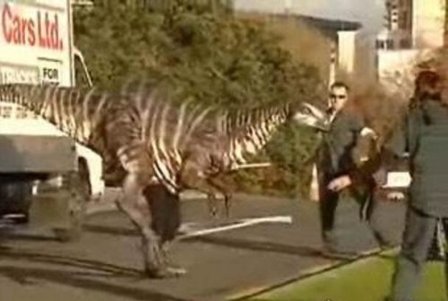 美国发现了一只活恐龙被抓住 现在视频曝光(乃人为制作)