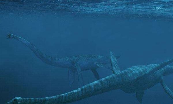 世界18大恐怖怪兽 巨型蚯蚓最长2米雪怪脚长33厘米