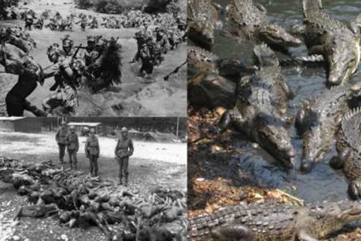 二战兰里岛鳄鱼吃人事件是真的吗?