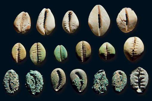 为什么贝壳作为古代的货币,穷人却不捡贝壳发家致富?