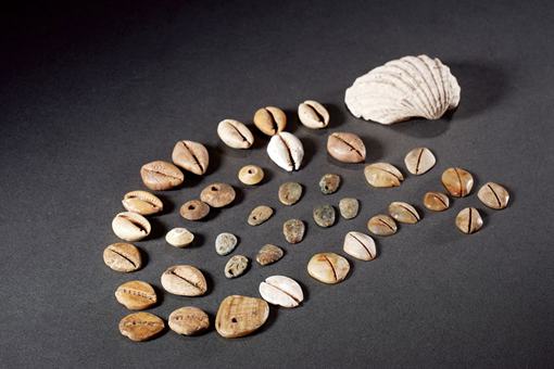 为什么贝壳作为古代的货币,穷人却不捡贝壳发家致富?
