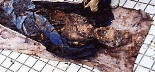 1995成都僵尸事件图片 连续咬伤多人后被用火烧死(网络传说)