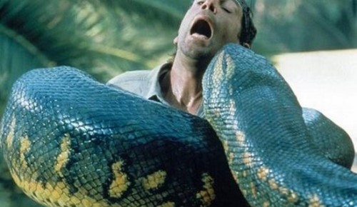 人类发现世界上最大的蛇 四川50米长巨蟒吓死人附图