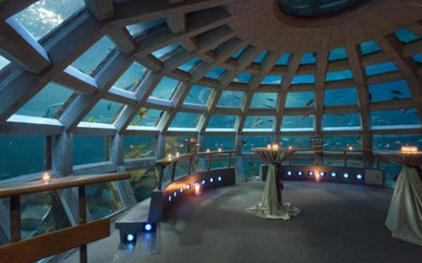 西雅图水族馆