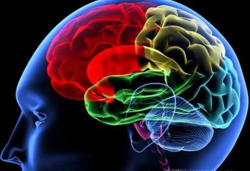 保持大脑健康的日常活动有哪些？