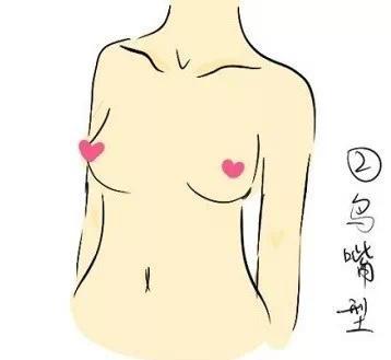 7种胸部形状，那种最美？教你锻炼方法
