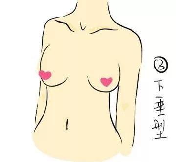 7种胸部形状，那种最美？教你锻炼方法