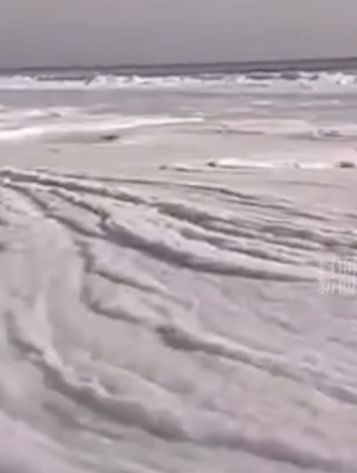 有生之年系列！近零下17度，青岛海浪翻涌瞬间被冻住