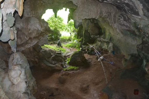 印尼发现已知世界最古老洞穴壁画 揭秘人类文明最早野猪画像