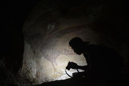 印尼发现已知世界最古老洞穴壁画 揭秘人类文明最早野猪画像