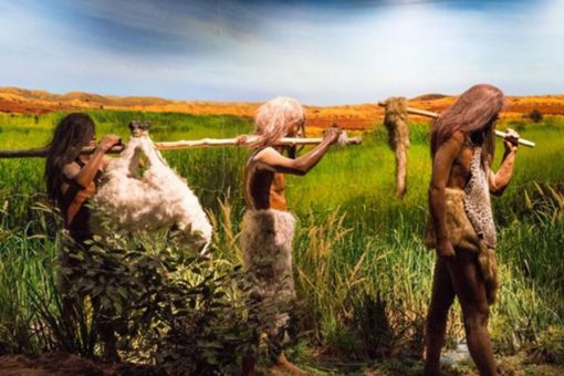 1.1万年前史前人类用什么当做武器 人类是怎么到达欧洲的